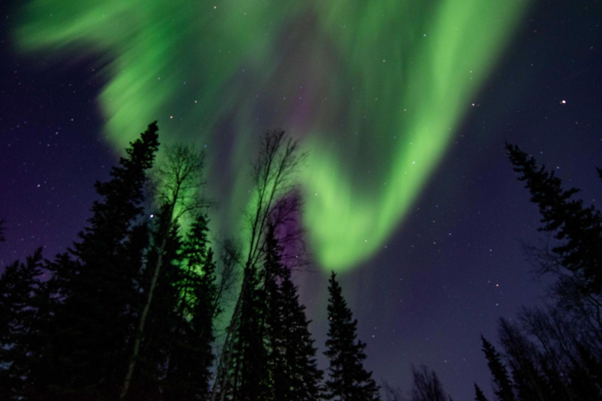 Riverside Log Cabin On-Site Aurora Viewing! North Pole Экстерьер фото